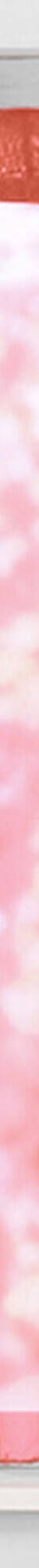 Vitrage droit voile uni finition pattes (terracotta) Vitrage droit voile uni finition pattes (terracotta)